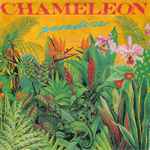 Chameleon (23) - Paradise
